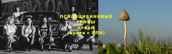 марки nbome Пересвет