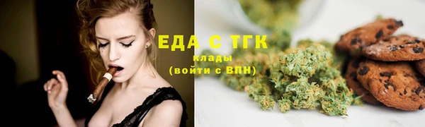 spice Бикин